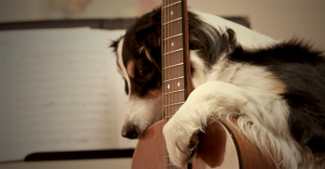 teaching improvisation